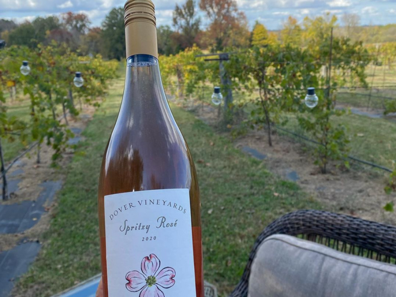 Wine bottle with vineyard in background
