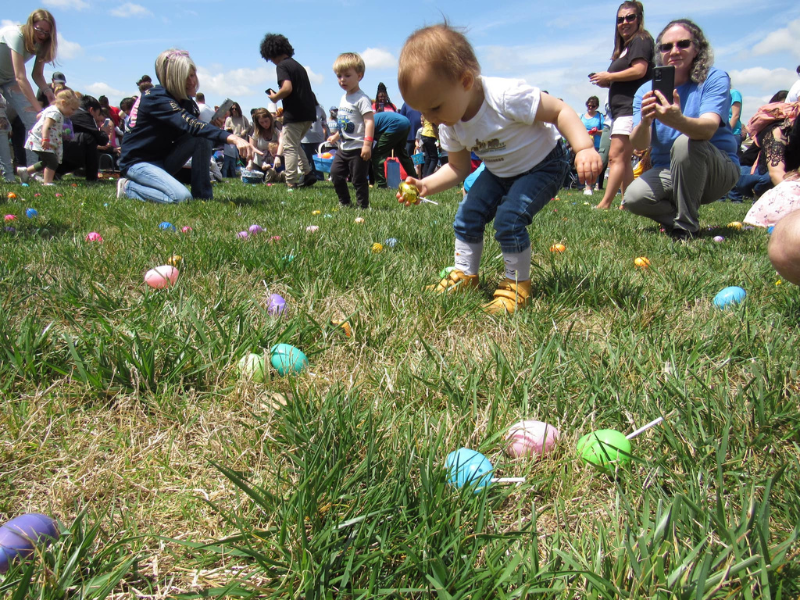 toddler collecting eggs at the Community Cookout