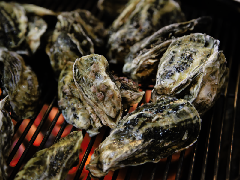 Shucking' for a Cause oysters